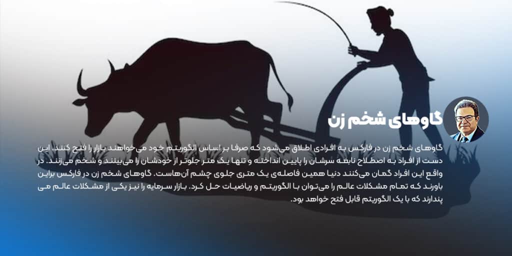 گاوهای شخم زن در فارکس