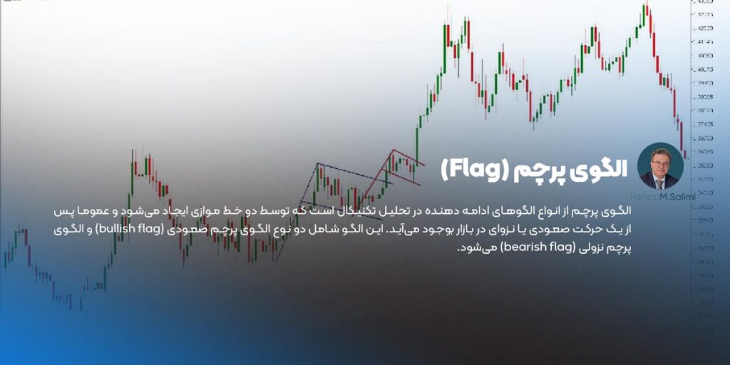 الگوی پرچم (Flag)