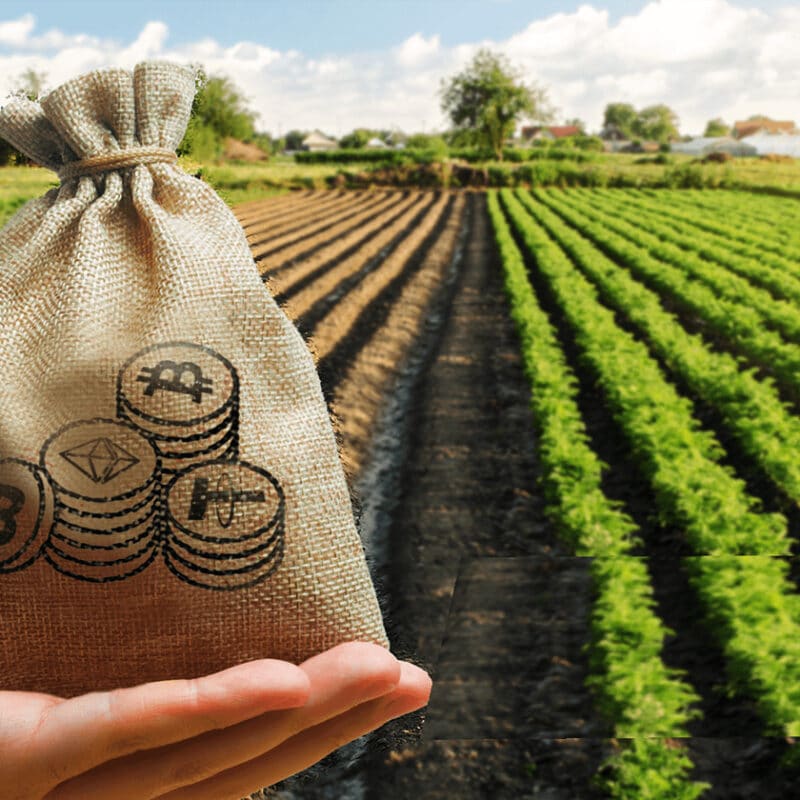 ییلد فارمینگ (Yield farming) یا کشت سود